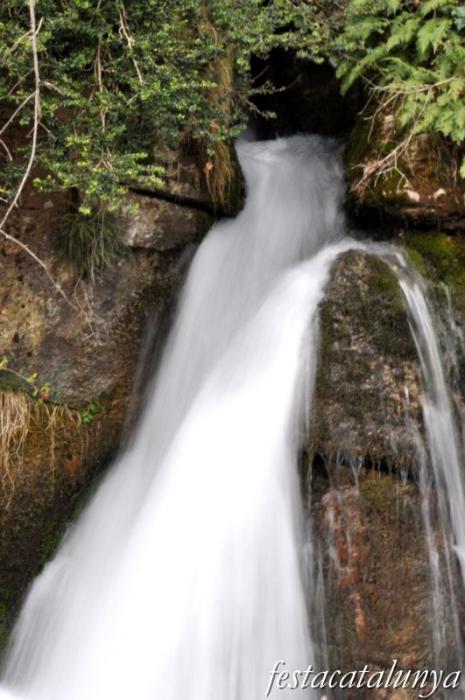 Fonts del riu Llobregat a Castellar de n'Hug ***