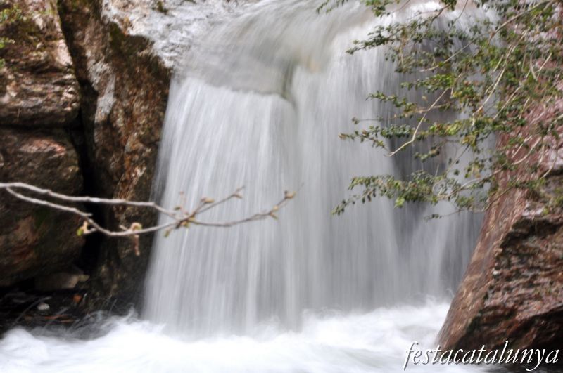 Castellar de n’Hug - Fonts del riu Llobregat