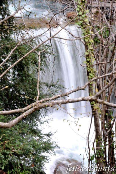Castellar de n’Hug - Fonts del riu Llobregat