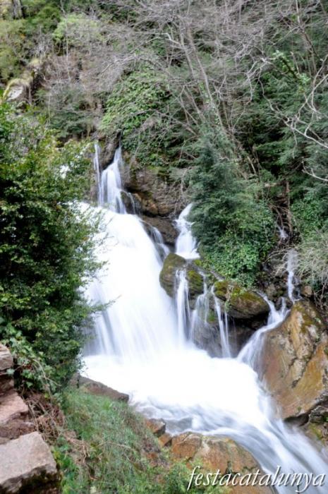 Castellar de n’Hug - Fonts del riu Llobregat