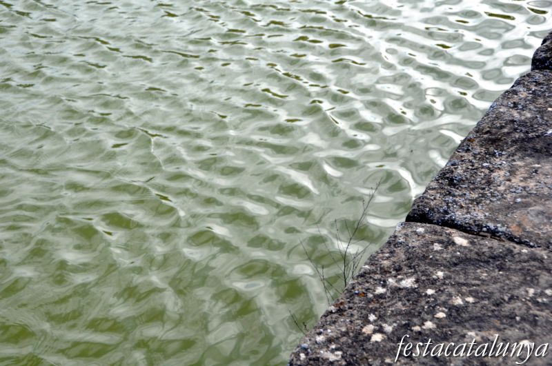 Bassa Bona de Vilalba dels Arcs