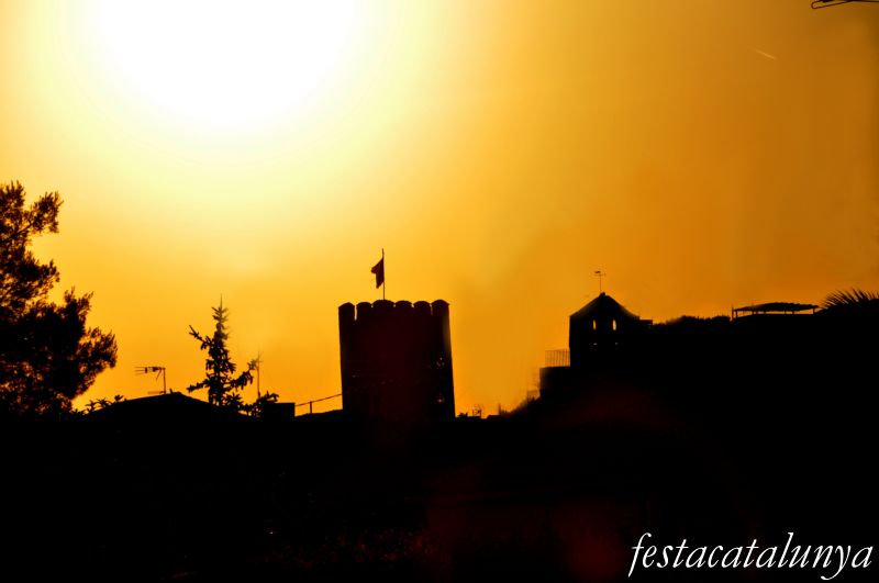 Castell i Església de la Mare de Déu del Remei de Santa Oliva