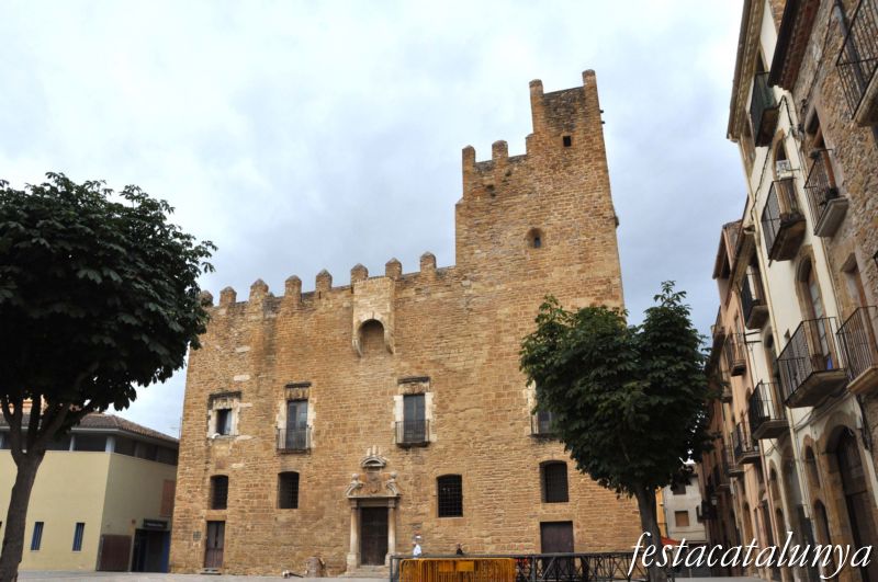 Bisbal d’Empordà, La - Castell Palau