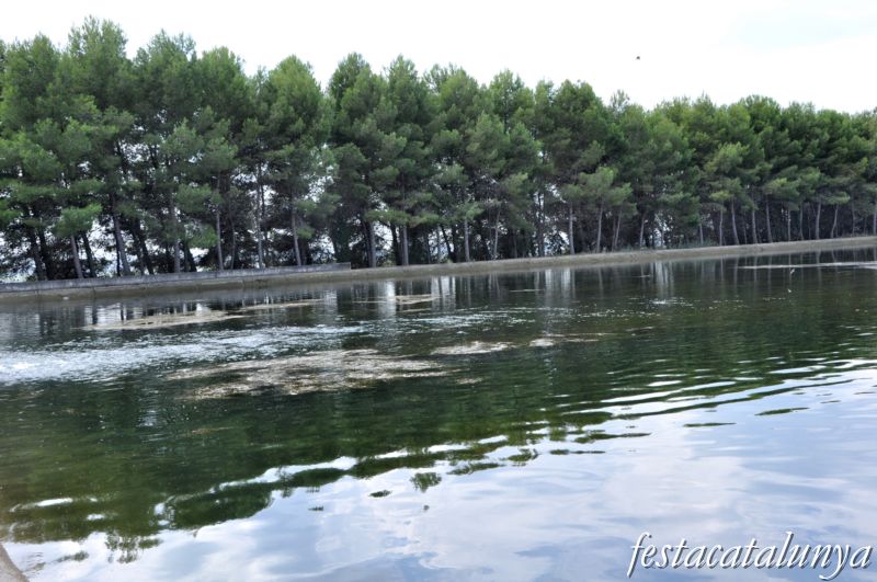 Embassament regulador de Linyola