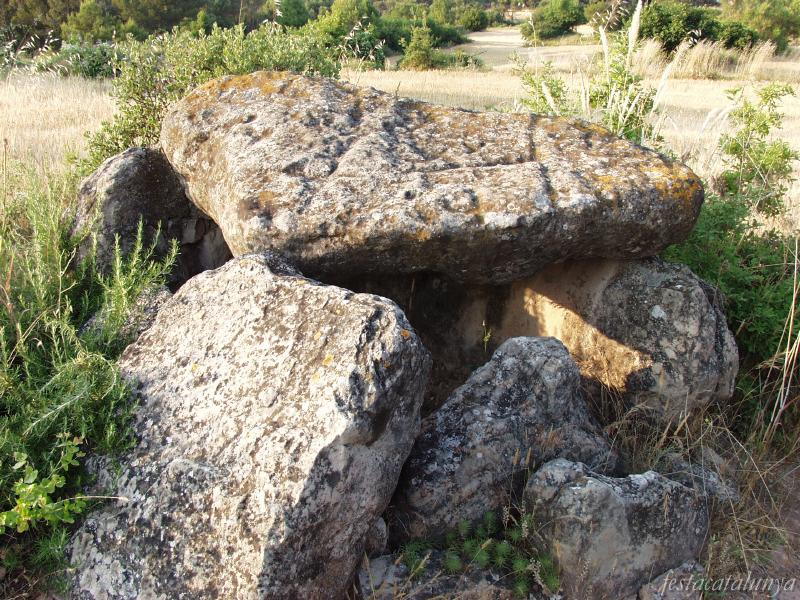 Sepulcre megalític de Plans de Ferran a Argençola