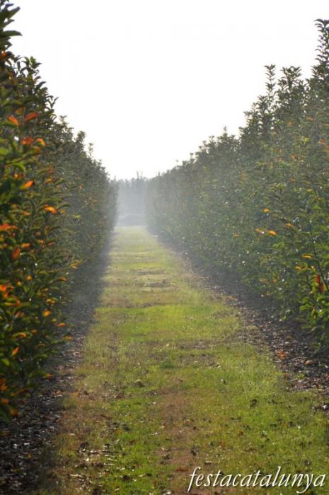 Barbens - Terres de conreu
