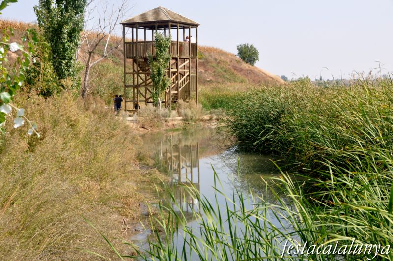 Estany d'Ivars - Vila-sana ***