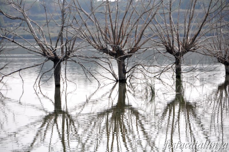 Estany d'Ivars - Vila-sana ***