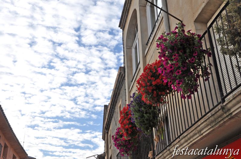 Nucli antic de Miralcamp