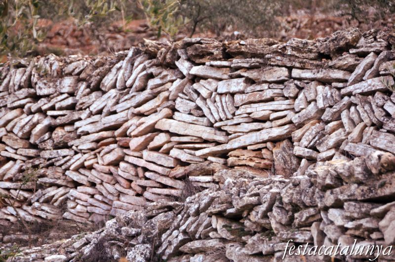 Paisatge i entorn rural de Pradell de la Teixeta