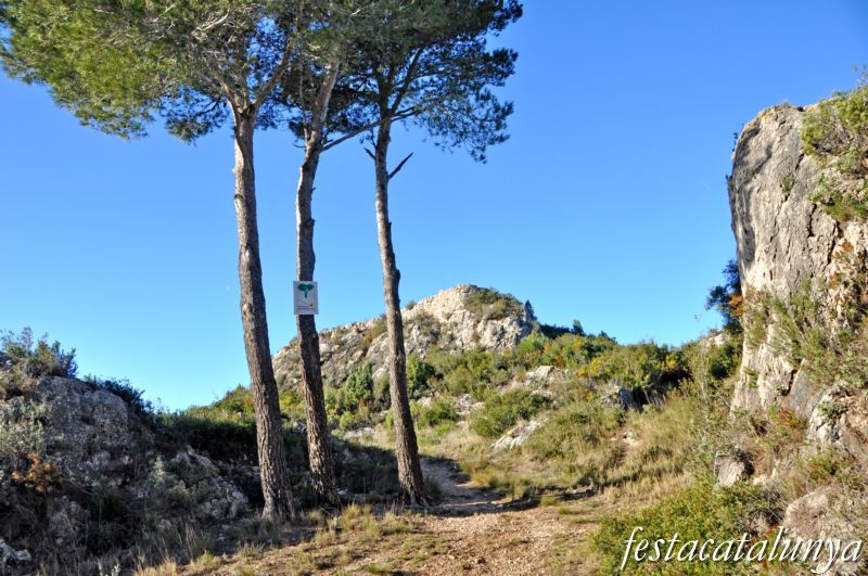Castell de l'Esquernosa o de l'Esquenarosa a Albinyana