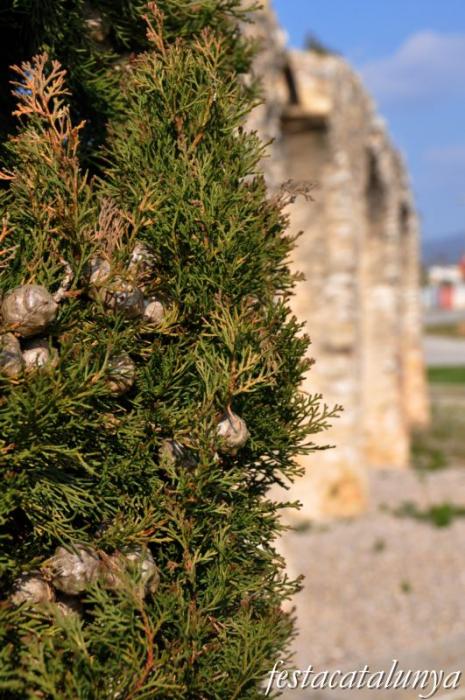 Sant Jaume dels Domenys - Aqüeducte romà dels Arcs