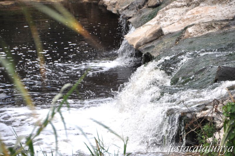 Riu Ripoll i el seu entorn a Barberà del Vallès