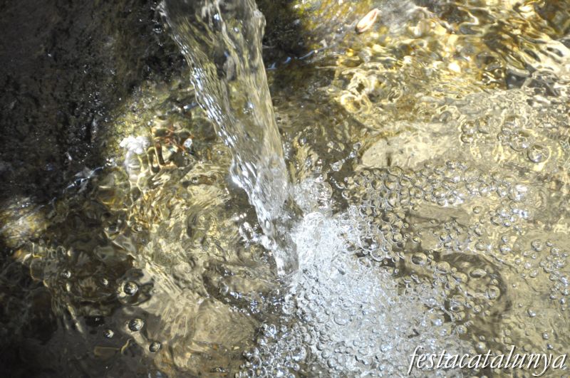 Fonts i Safareigs a la Sénia