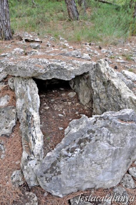 Dolmen de Sant Amanç de Calders