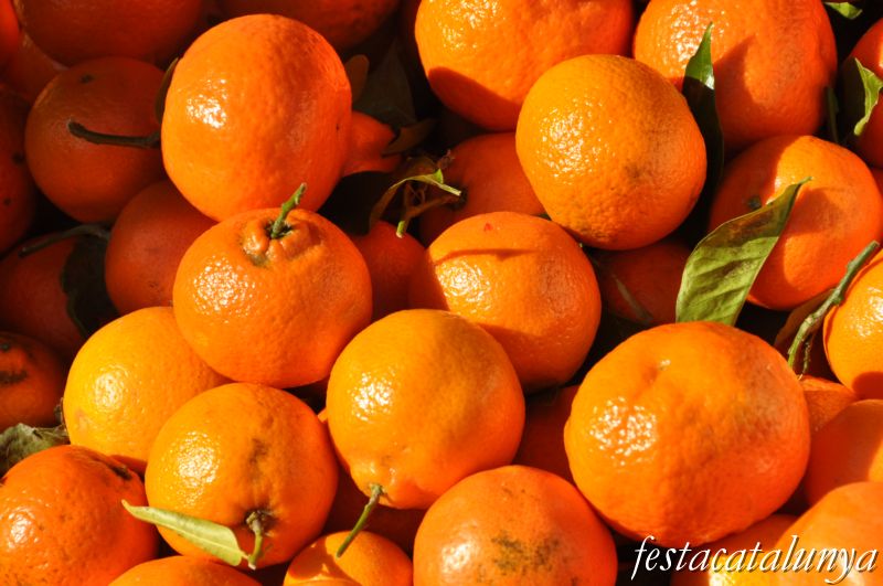 Mercat Setmanal de Canet de Mar