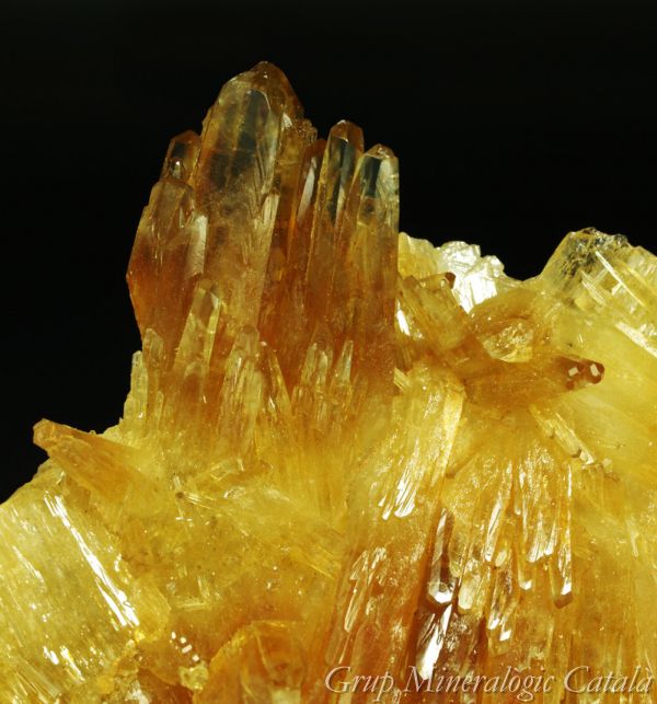 Mineralexpo Barcelona Sants