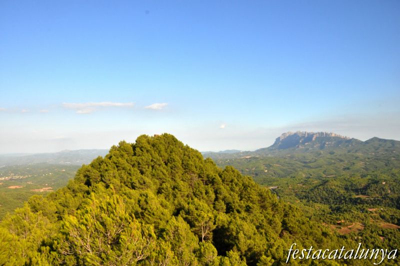 Castell de Castellfollit