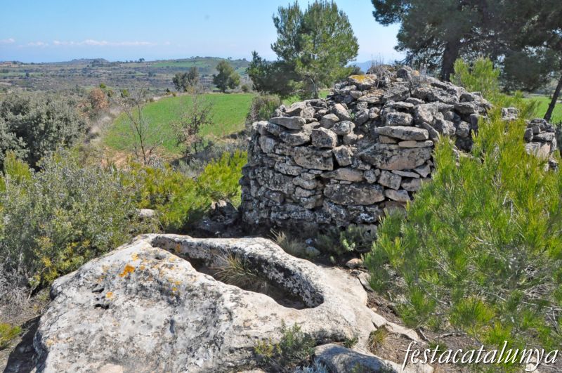 Tombes de Camps a Fonollosa