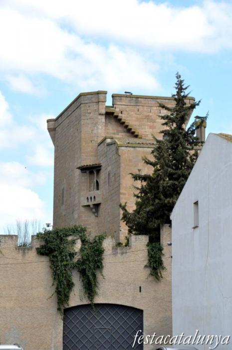 El castell d'Albatàrrec