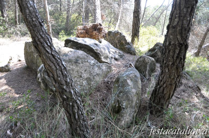 Aguilar de Segarra - Dolmen de Serragallarda