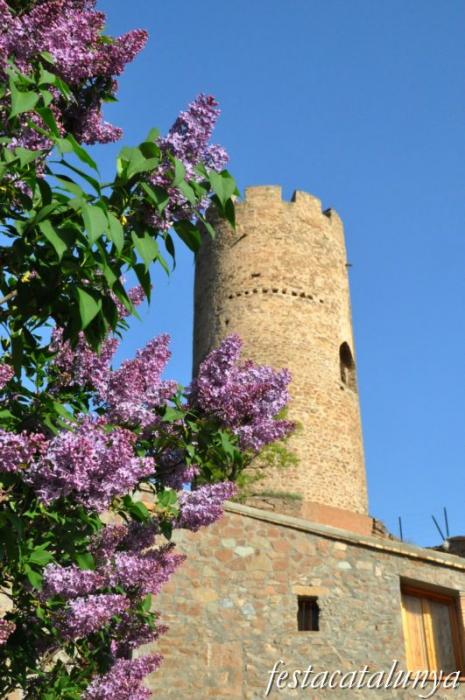 Castell de Coaner a Sant Mateu de Bages