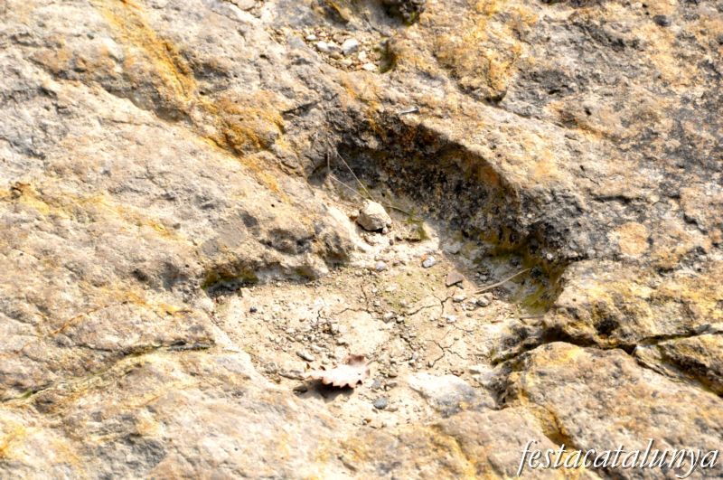 Icnites o petjades fòssils de Prat Barrina a Sant Mateu de Bages