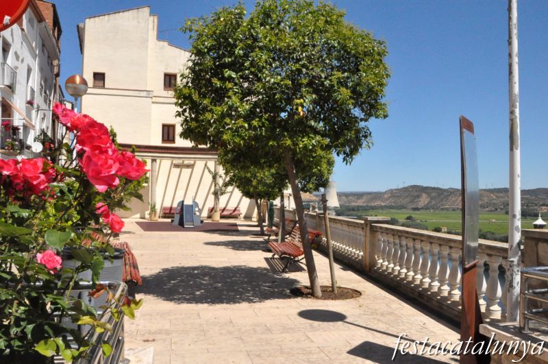 Ascó - Balcó de l’Ebre