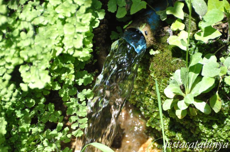 Fonts del terme d'Avinyó