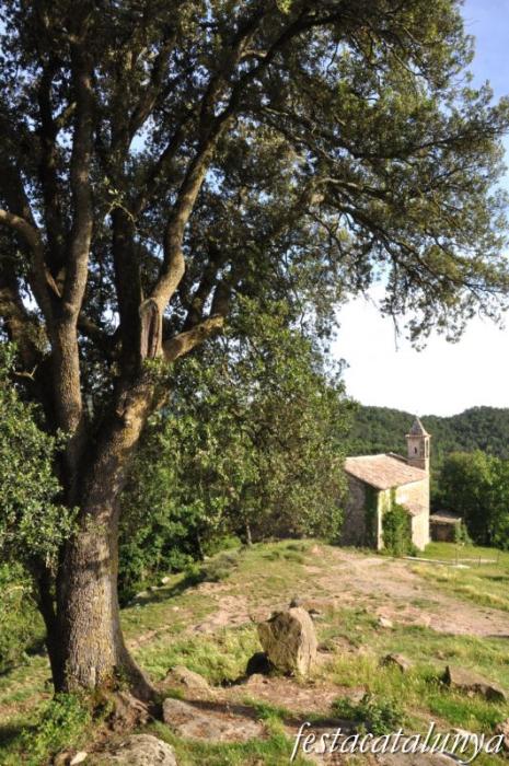 Sant Genís del Pi de Sant Agustí de Lluçanès
