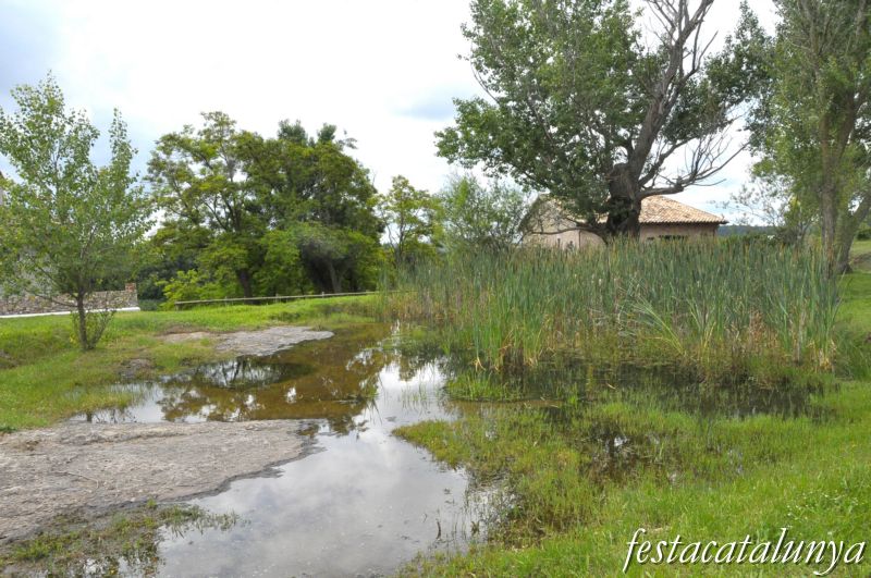 Bassa d'abeurada de Santa Creu de Jutglar d'Olost