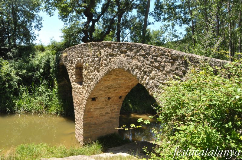 Pont romànic del Molí del Pont de Sant Martí d'Albars