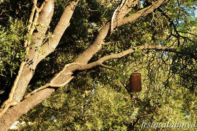 Parc dels Vegetals de Sant Iscle de Vallalta