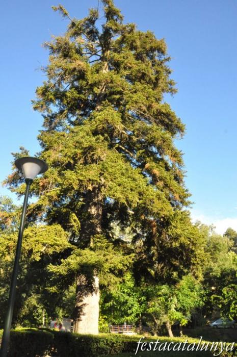 Vallfogona de Riucorb - Balneari de Vallfogona