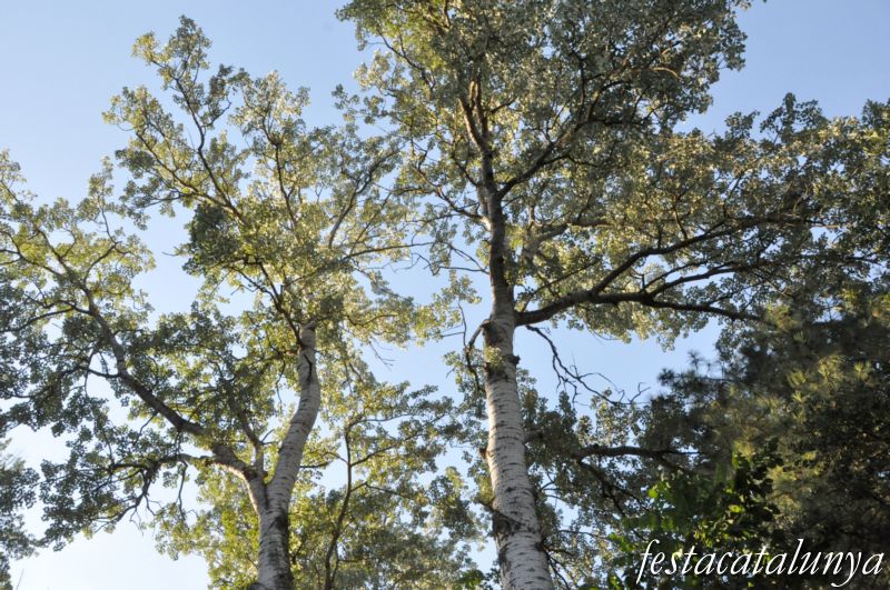 Vallfogona de Riucorb - Balneari de Vallfogona
