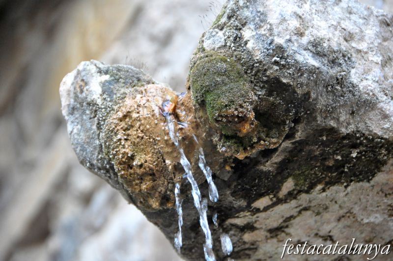 La Font i abeuradors de Vallfogona de Riucorb