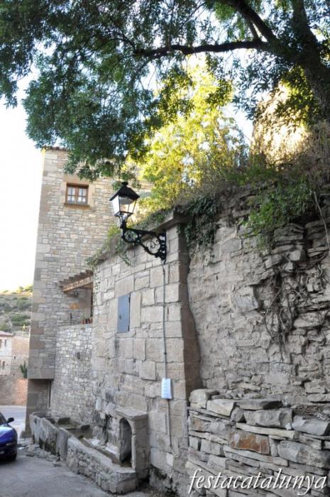 Vallfogona de Riucorb - Nucli antic (Font i abeuradors)