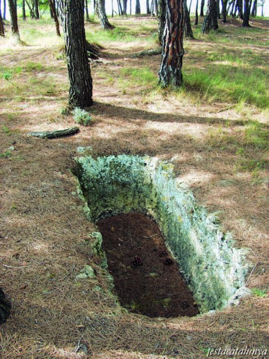 Pla de les Sitges del Camaró a la Torre de Claramunt ***