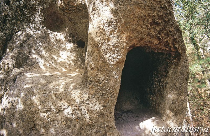 El Roc Foradat de Prats de Lluçanès