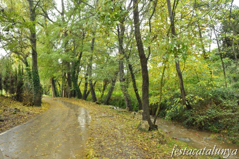 Llambilles - Camí de Sant Cristòfol, paisatges de suro