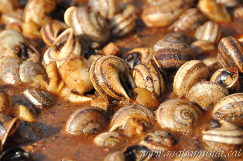 Fira de la Vinyala, la Fira del Cargol de Vinya a Òdena