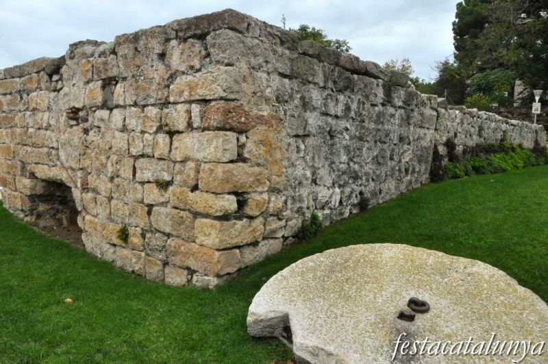 Molí del Rovellat de la Selva del Camp