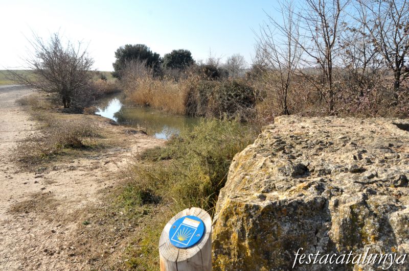 Preixana - Espai natural protegit secans de Belianes-Preixana