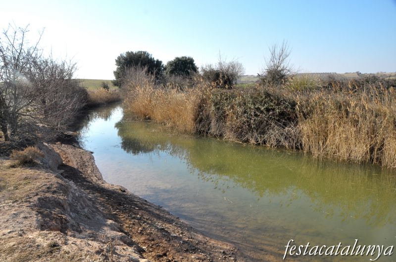 Preixana - Espai natural protegit secans de Belianes-Preixana