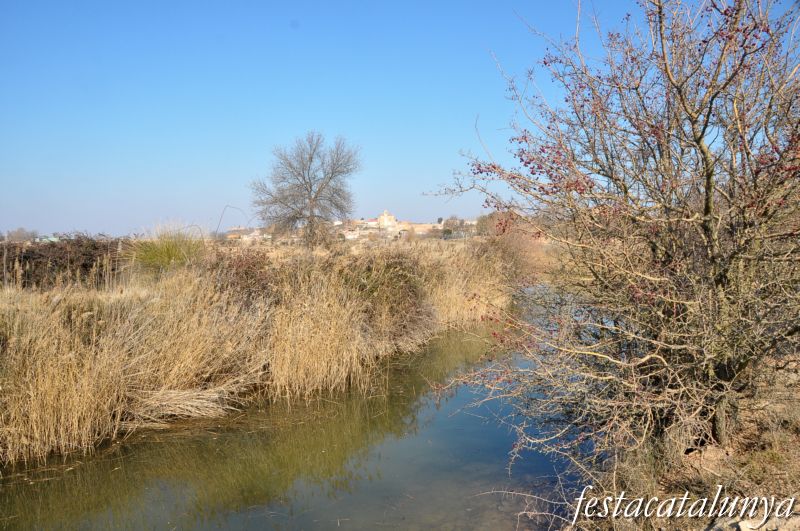 Preixana - Espai natural protegit secans de Belianes-Preixana