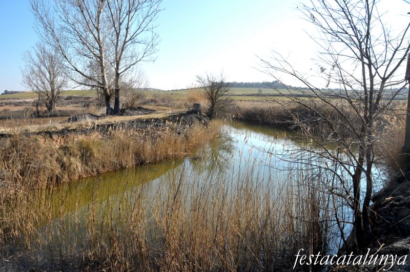 Espai natural protegit secans de Belianes-Preixana ***