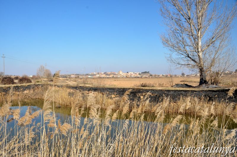 Preixana - Espai natural protegit secans de Belianes-Preixana