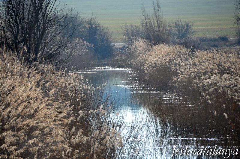 Preixana - Espai natural protegit secans de Belianes-Preixana