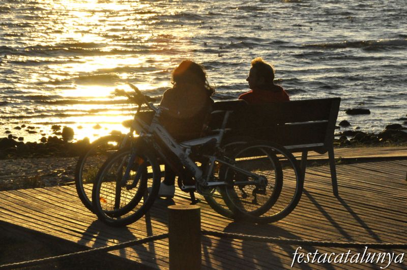 Aiguamolls de la riera de Riudoms a Cambrils