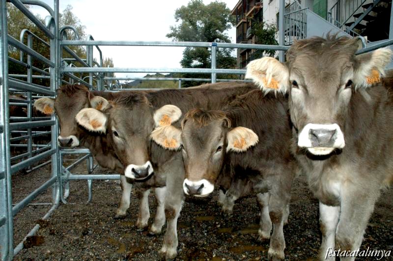 Fira Mil·lenària de Tots Sants de Vilaller